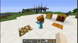 MythicMobs: tameable companions - PUMPKIN