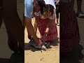 Watch Pepita the sea turtle get released back to her home 🐢 #Shorts