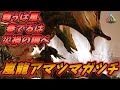 霊峰に棲む嵐の化身"嵐龍アマツマガツチ" [ARK MOD実況]