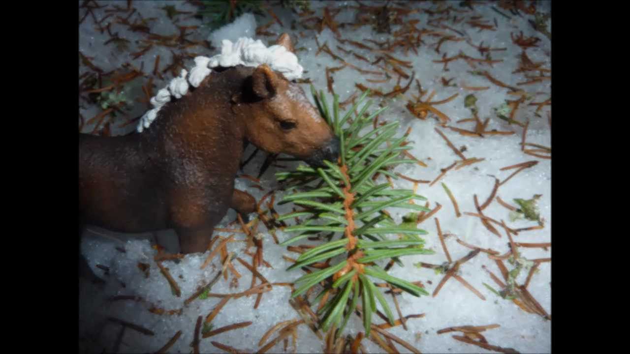 Les Forêts Noires à la neige ! (+ Bonus) ☼