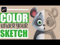 How to color sketches in procreate wo using outlinespanda edition