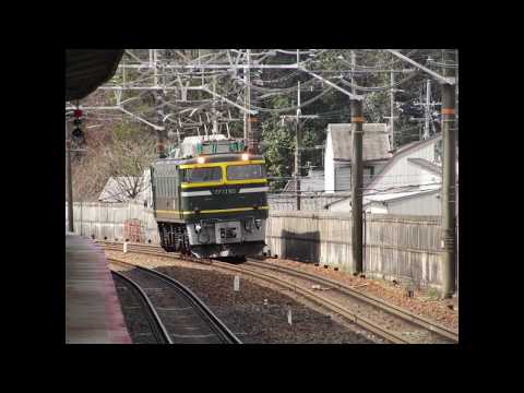 EF81 113