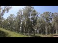 4K Israeli forest with GOpro camera - relax video - part 2