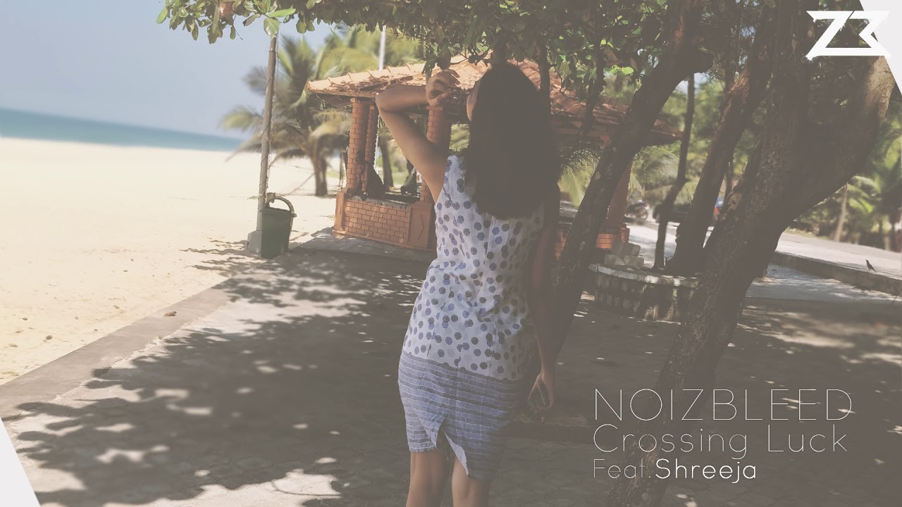 Noizbleed Feat.Shreeja - Crossing Luck [Liquifunk / Liquid DNB]