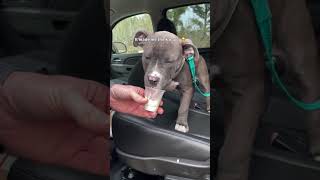 Cant Believe My Baby Boy Is Turning 4 Next Week