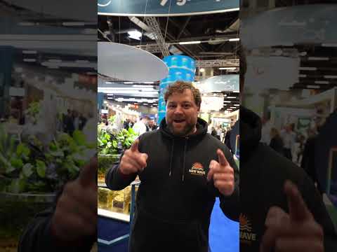 Our Sera Interzoo Show Tank scaped by Sascha Hoyer🌱 - Check out the full video on our YT channel 🎥