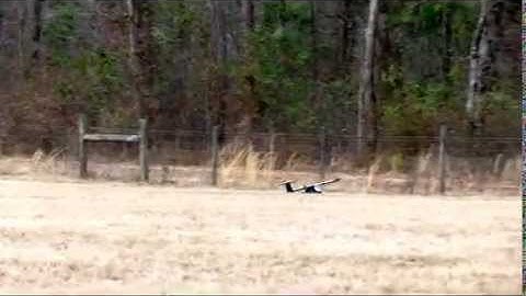 FPV Skywalker Test Flights