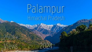 PALAMPUR │ PALAMPUR TOURIST PLACES │ HIMACHAL PRADESH │ APRIL 2024 │ PLACES TO VISIT IN PALAMPUR