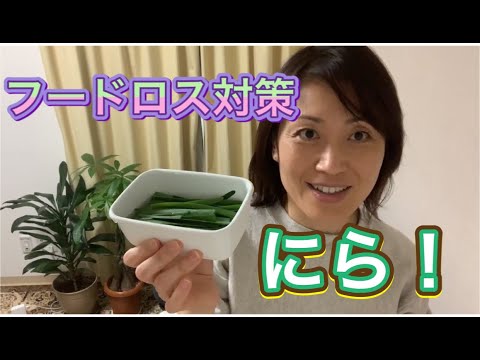 フードロス対策　にらの保存方法！