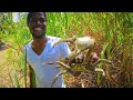 Crazy Crab Hunting in Jamaica