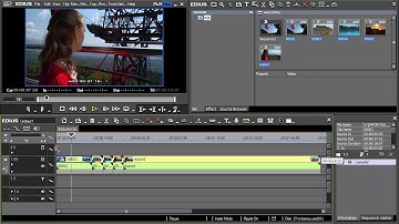 Grass Valley EDIUS Pro - 07) Working with a video on the Timeline