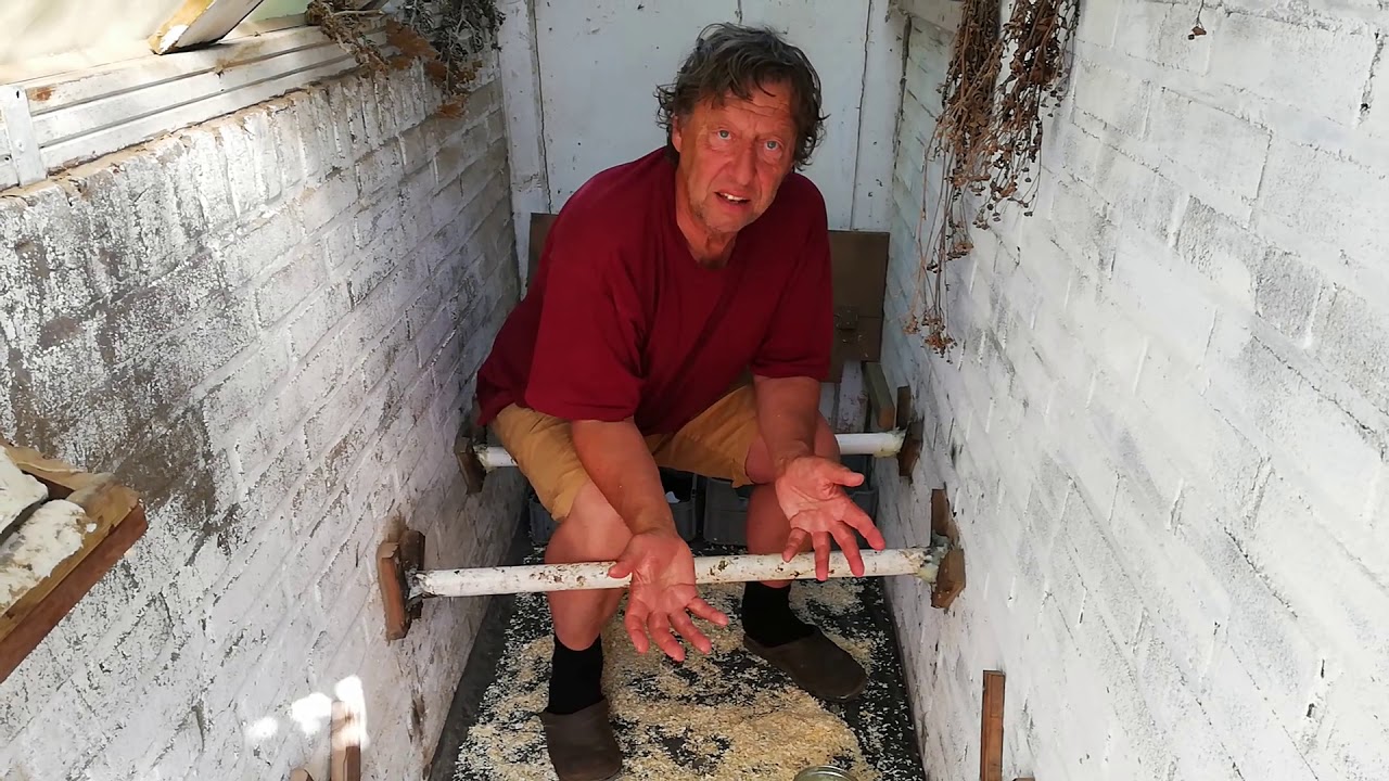 Kippen in de Ecotuin Keutenberg.