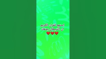 استمع للقران الكريم ان الشيطان يمنعك ❤️❤️❤️❤️❤️❤️❤️❤️❤️❤️❤️