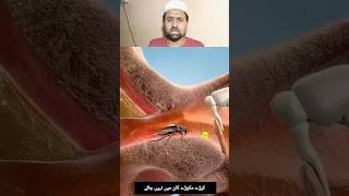 Allah ki kudrat - Allah ki hikmat ☝️ #shortfeed #shorts #viralvideo #explorepage #allah