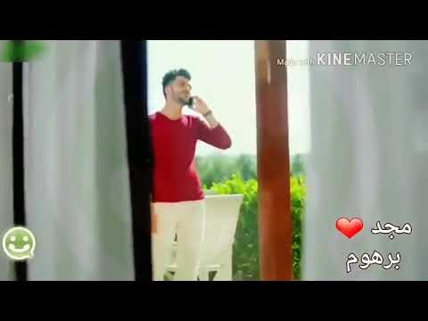 عالي صوتي بقولا بحبك يا مجنونة