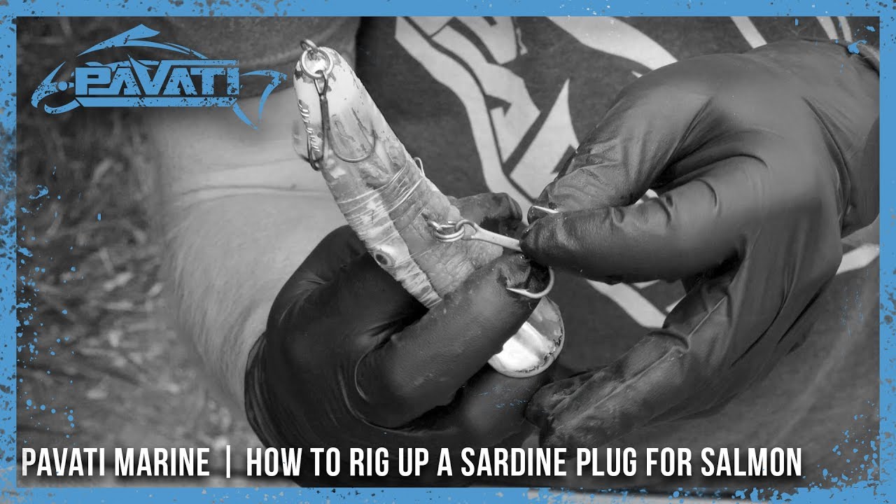 Pavati Marine Tutorials: How To Rig Up A Sardine Plug For Salmon