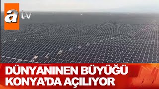 Dünyanın en büyük güneş santrali - Atv Haber 11 Haziran 2021