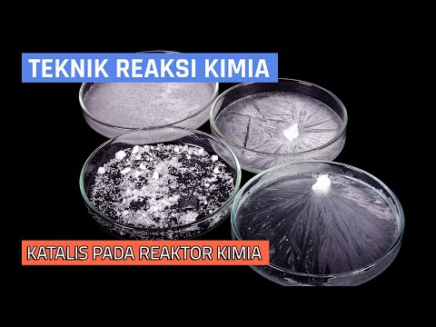 Video: Apakah lebih banyak reaksi terjadi dengan katalis atau tanpa?