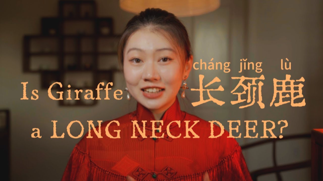 Best Tricks to Learn Chinese Vocab Faster 鹿 (Deer) vs 长颈鹿 (Giraffe) | Mandarin Hacks EP01