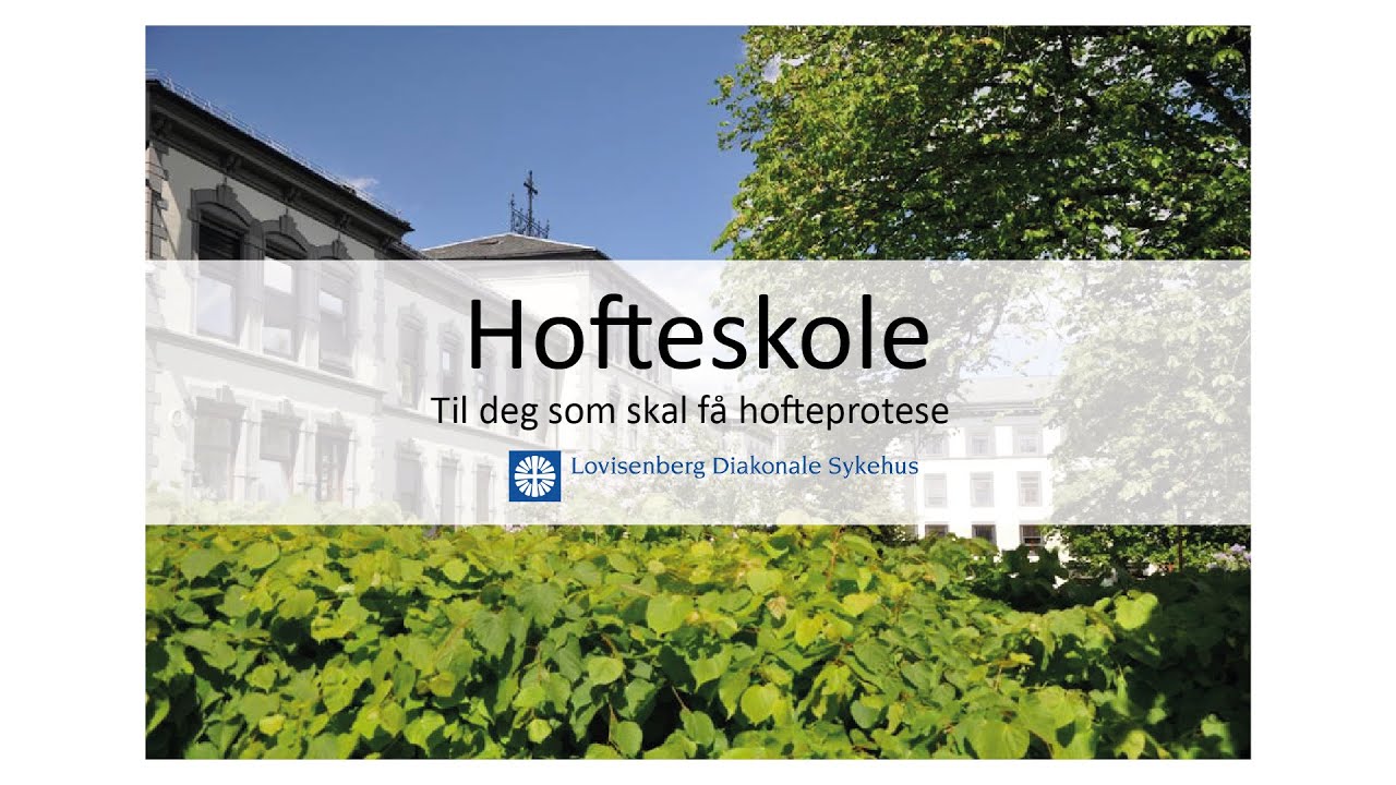 LDS hofteskole