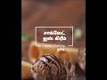 சாக்லேட் ஐஸ் கிரீம் | Ice Cream | #icecream  #icecreamrecipe #iceeating #icecreammaking #chocolate