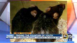 How Can Telomerase Enzyme Reverse The Aging Process?