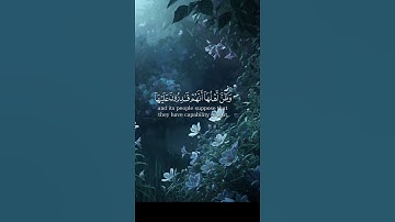 سورة يونس _ سعد الغامدي