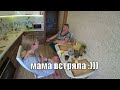 VLOG: НАРУШИЛА МАМИНЫ ПЛАНЫ/ГУЛЯЕМ ПО МАГАЗИНАМ/БЫСТРЫЙ УЖИН