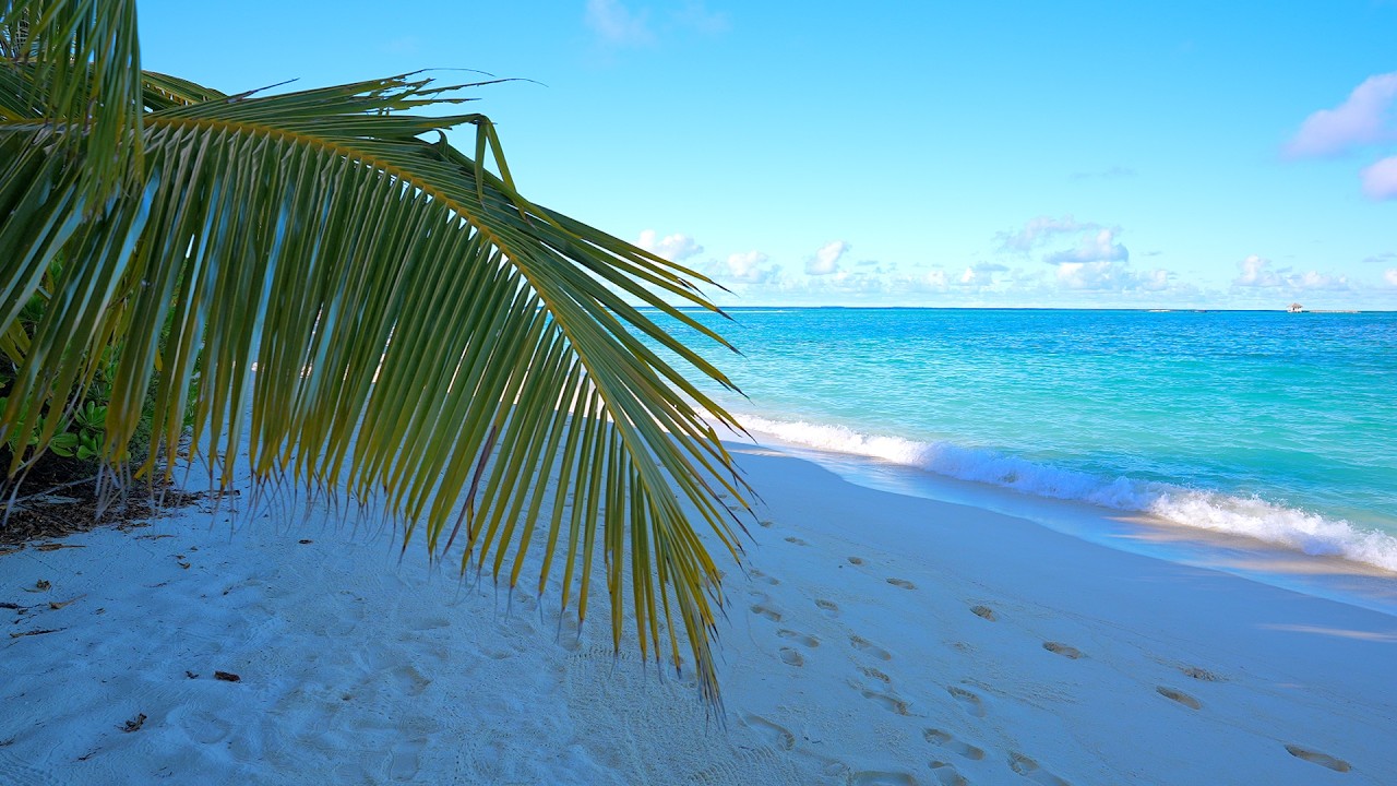 Maldives Beach 4K 🏝 Turquoise Water, White Sand and Ocean Sounds