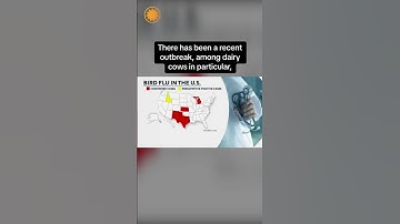 Human contracts bird flu for second time in U.S. history #shorts