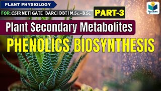 PLANTS SECONDARY METABOLITES(PART-3) | PHENOLICS BIOSYNTHESIS ||CSIR NET|