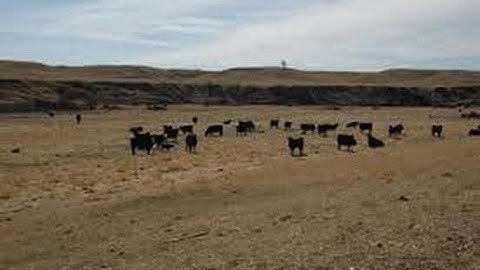 Sustainable Ranching Through Changing Times and Drought