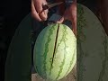 Master Watermelon Art Skills 🍉 | Satisfying Kitchen Fruit Decoration