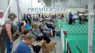 2014 UKC Premier | United Kennel Club