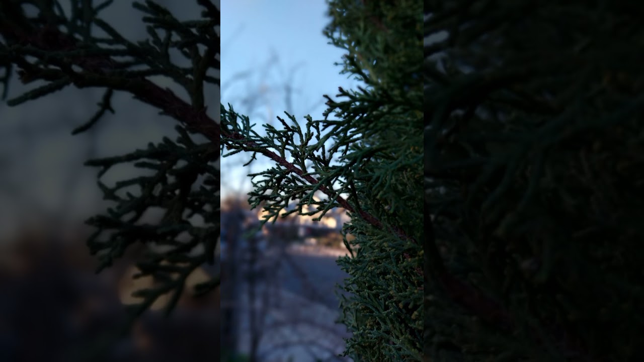 Audiobook "Life After Death." Аудиокнига "Жизнь после смерти." Моя история. (4) Часть 1