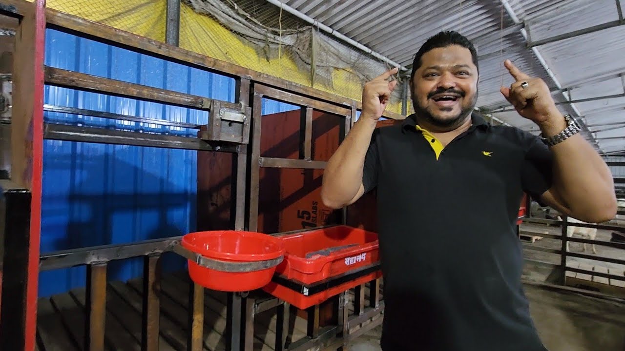 5 Star Goat Cage Scientific Structure | ARM Goat Farm | Book Your Cage Now.