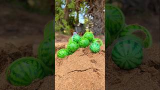 The Guy Show AMAZING Smart and Useful in forest #outdoors #skills #bushcraft #survival #candy