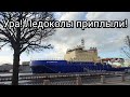 Ура! Ледоколы приплыли!