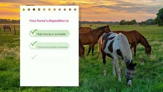 Is your horse at risk for ulcers?