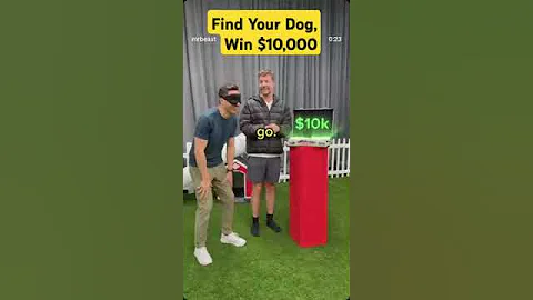Find Your Dog, Win $10,000