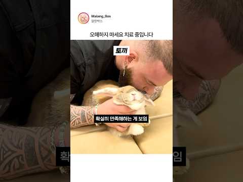 카이로프랙틱 받는 동물들 <strong>반응</strong> ㄷㄷ