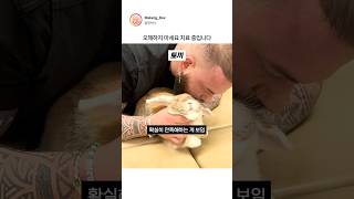 카이로프랙틱 받는 동물들 반응 ㄷㄷ