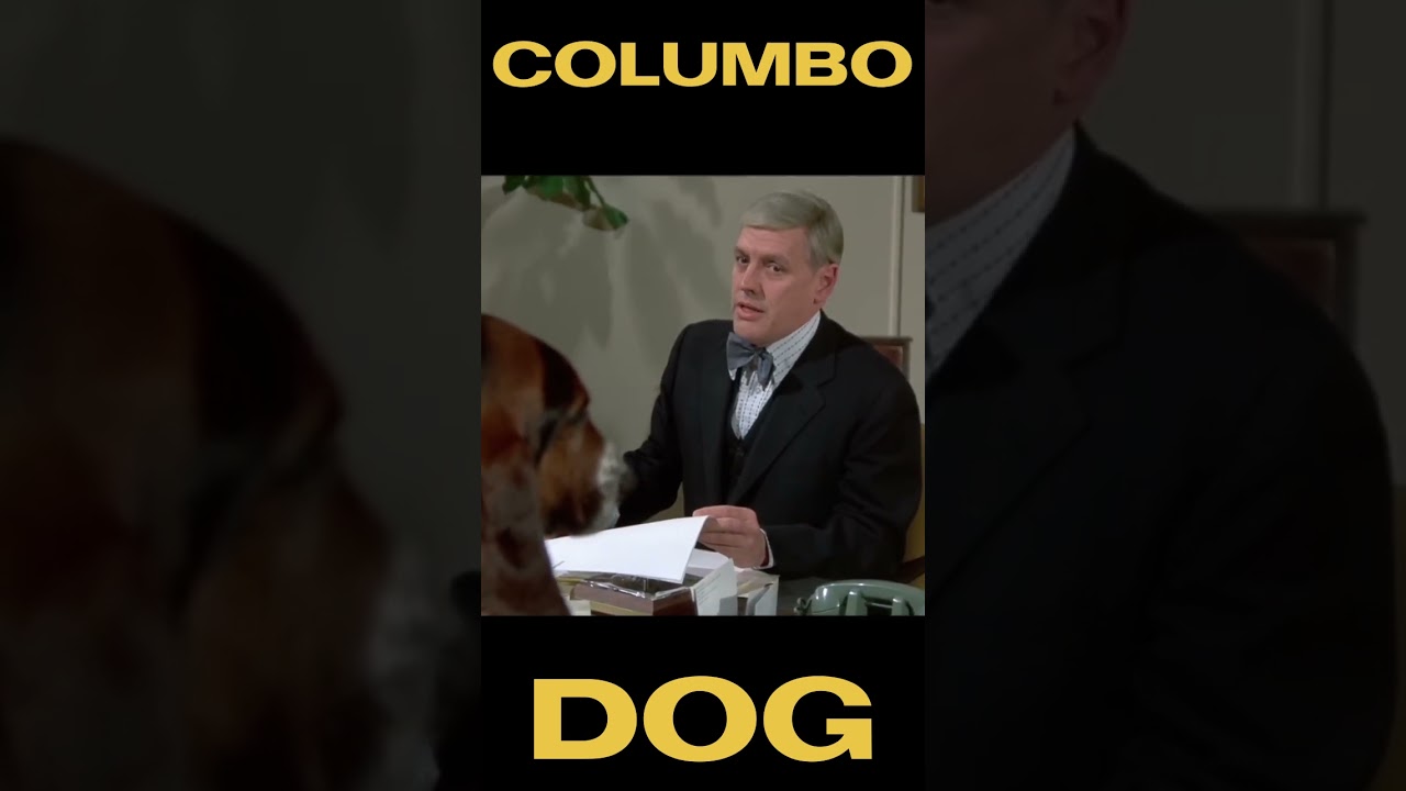 Dogs will be Dogs! #dogs