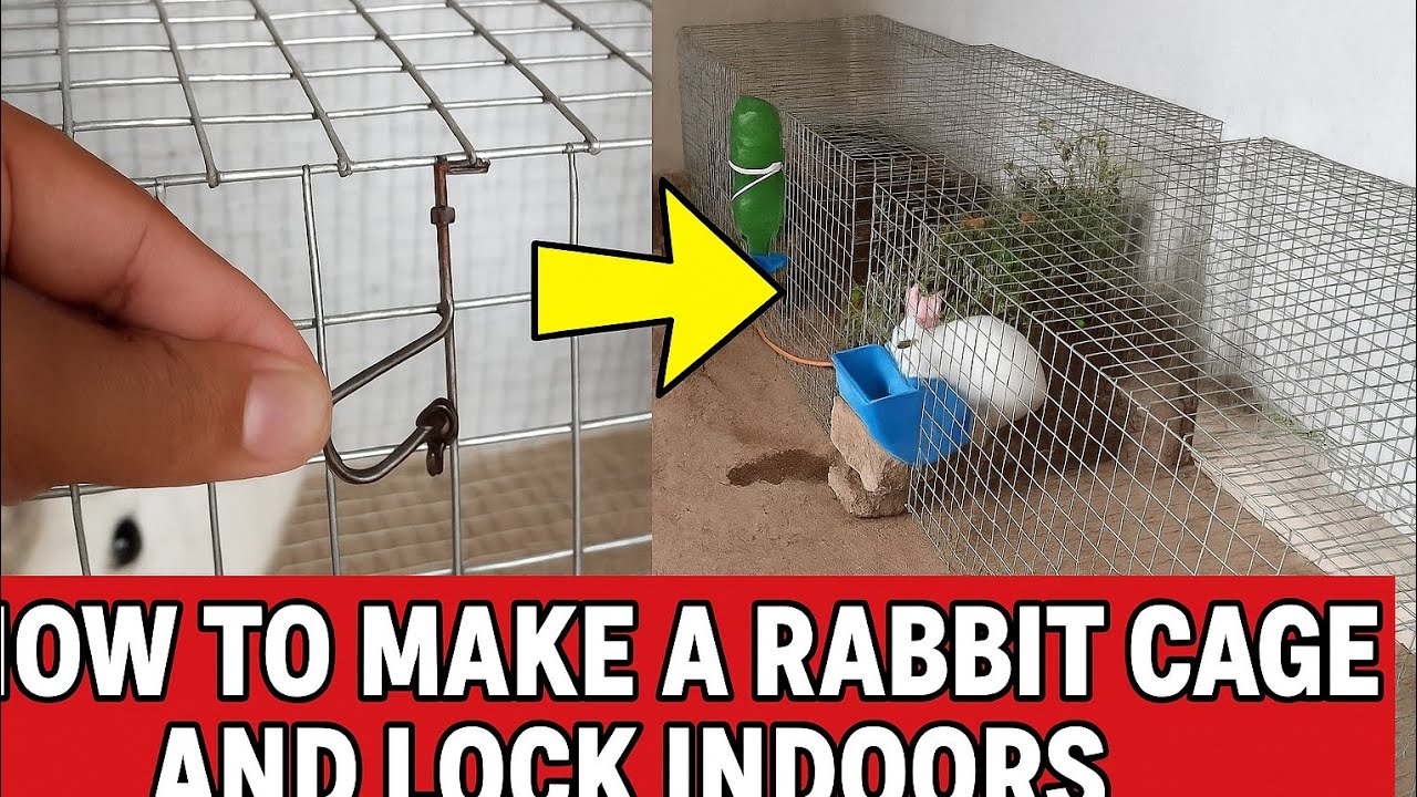 How make rabbit cage at home.Includes size details wire gauge lock system and full cost breakdown.