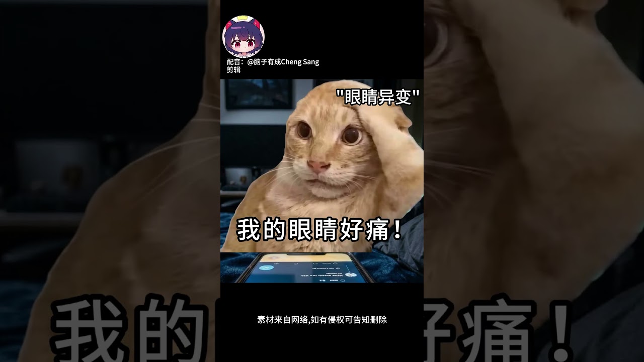 暗暗地方，玩手機的下場 |#梗圖 | MYViki