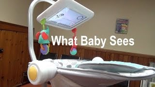 What Baby Sees: Newborn-to-Toddler Apptivity Seat for iPad screenshot 5