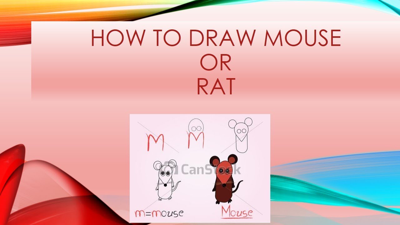 How to draw rat