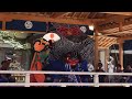 和歌山県無形民俗文化財　高芝の獅子舞 天狗獅子