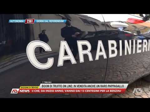 A3 NEWS TREVISO | 09/04/2024