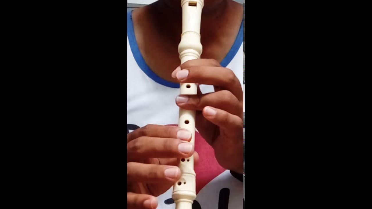 cover Burung Kakak tua ( suling / recorder ) #  